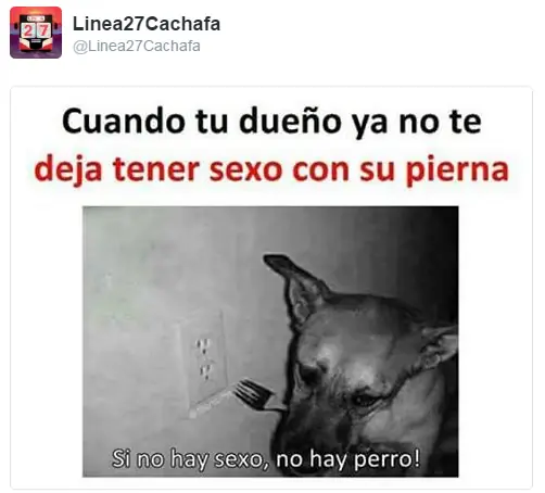 imagenes