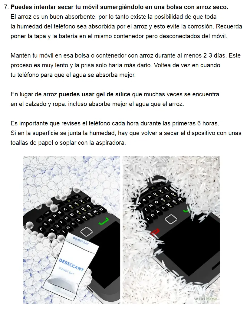 ¿Se te mojó el celular? Aprende a salvarlo aquí lince!
