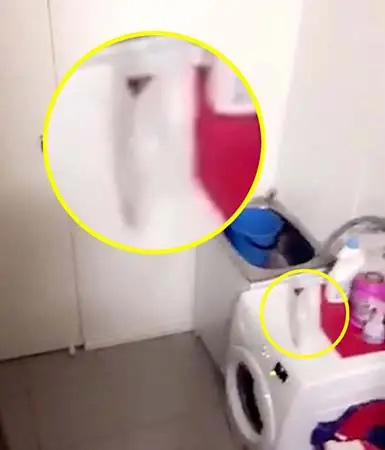 paranormal