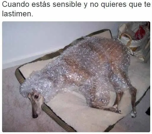 ¿Martes aburrido? ríe con este Humor en imagenes