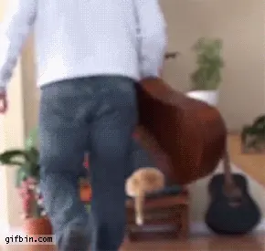 gifs