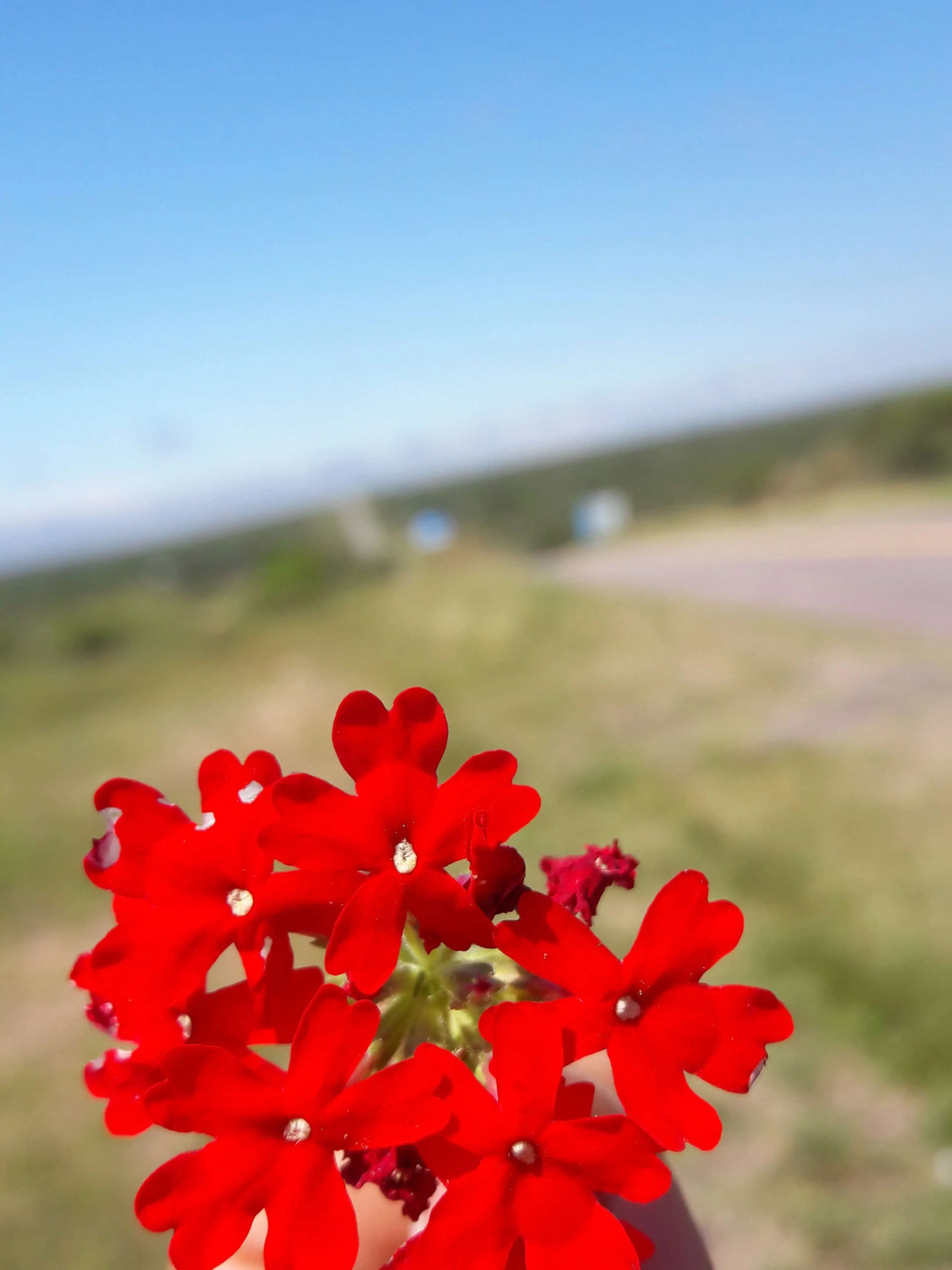 Me fui a sodoma y te lo muestro!