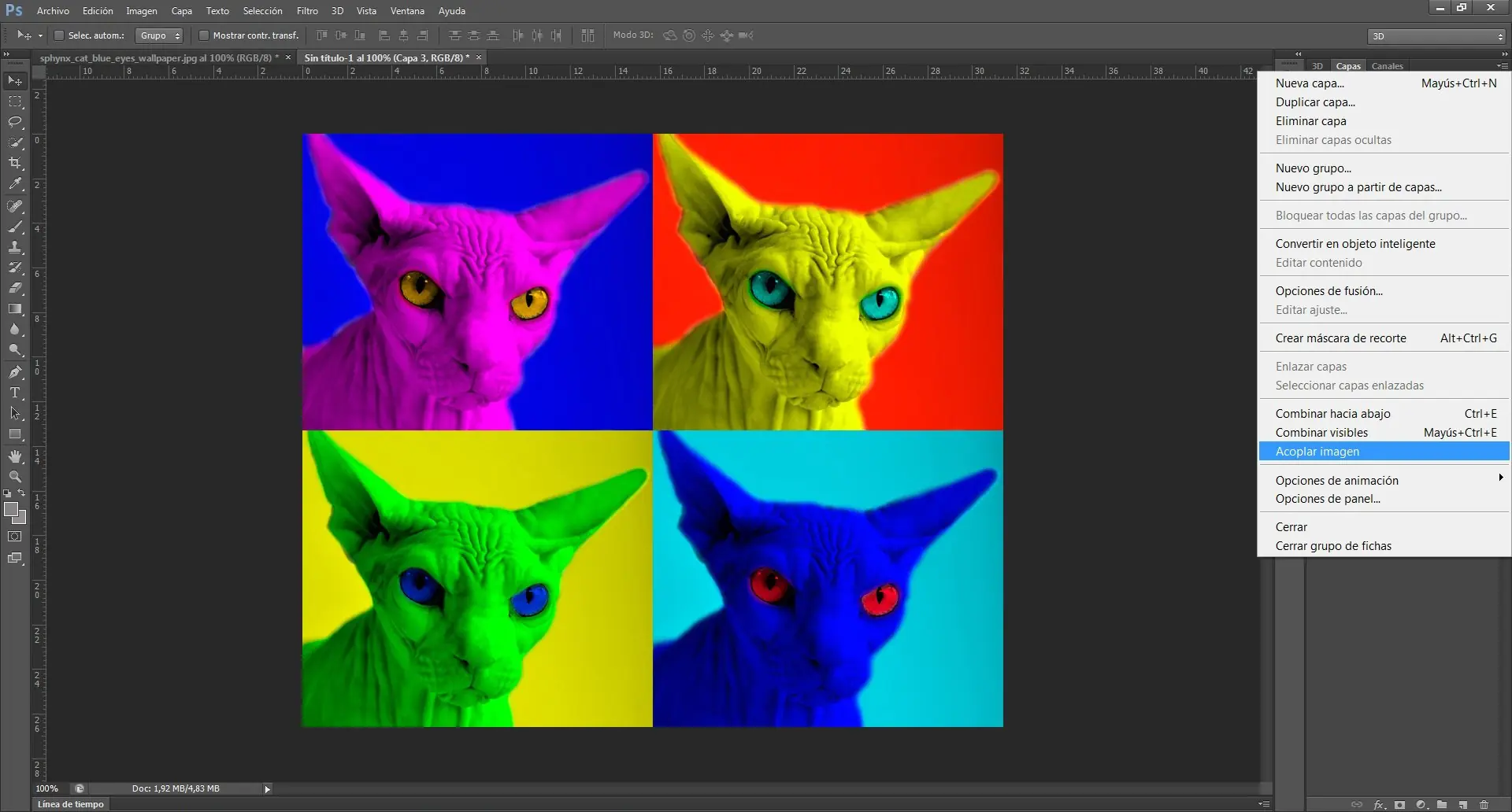 Efecto Pop Art