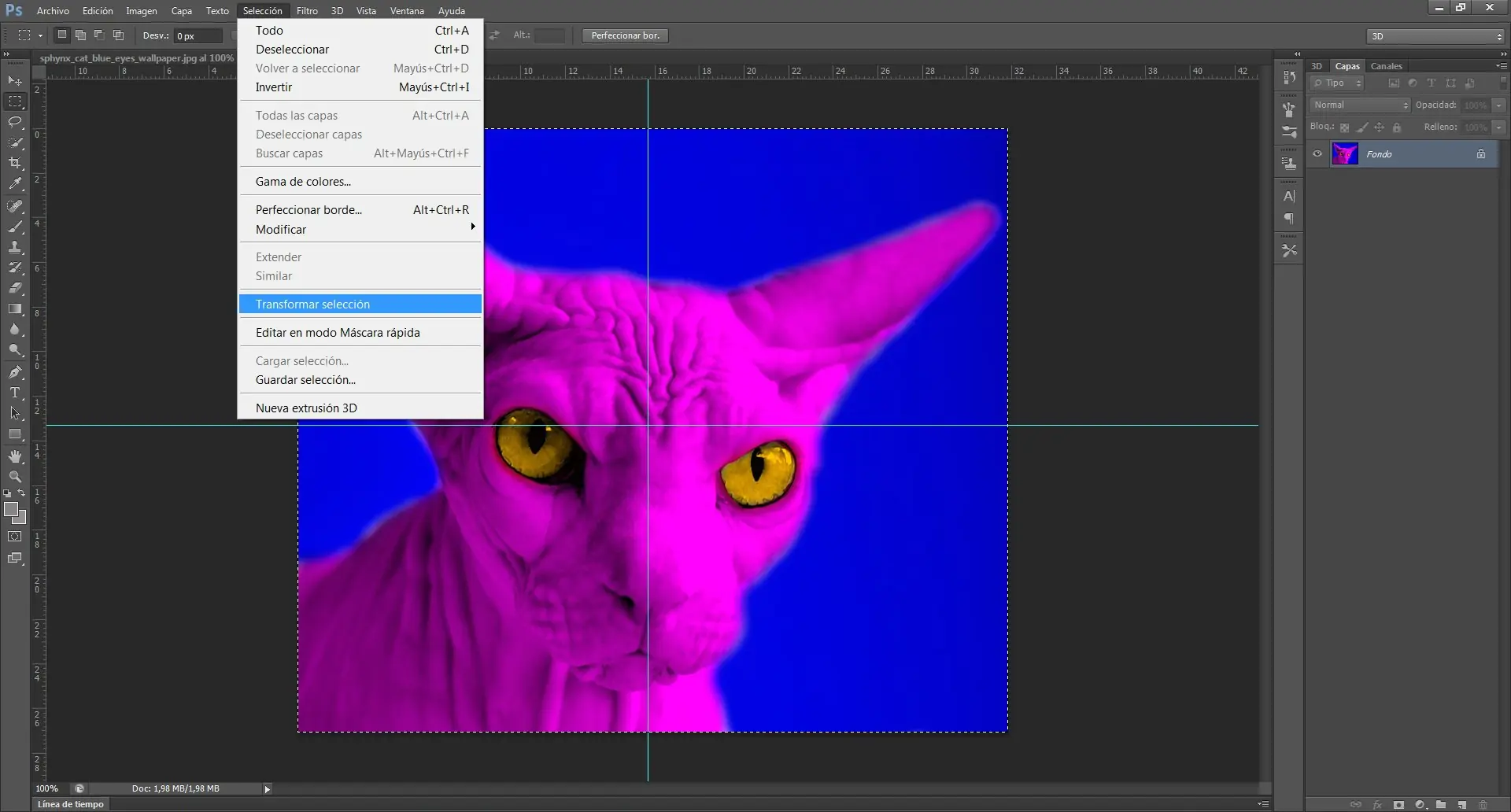 cs6