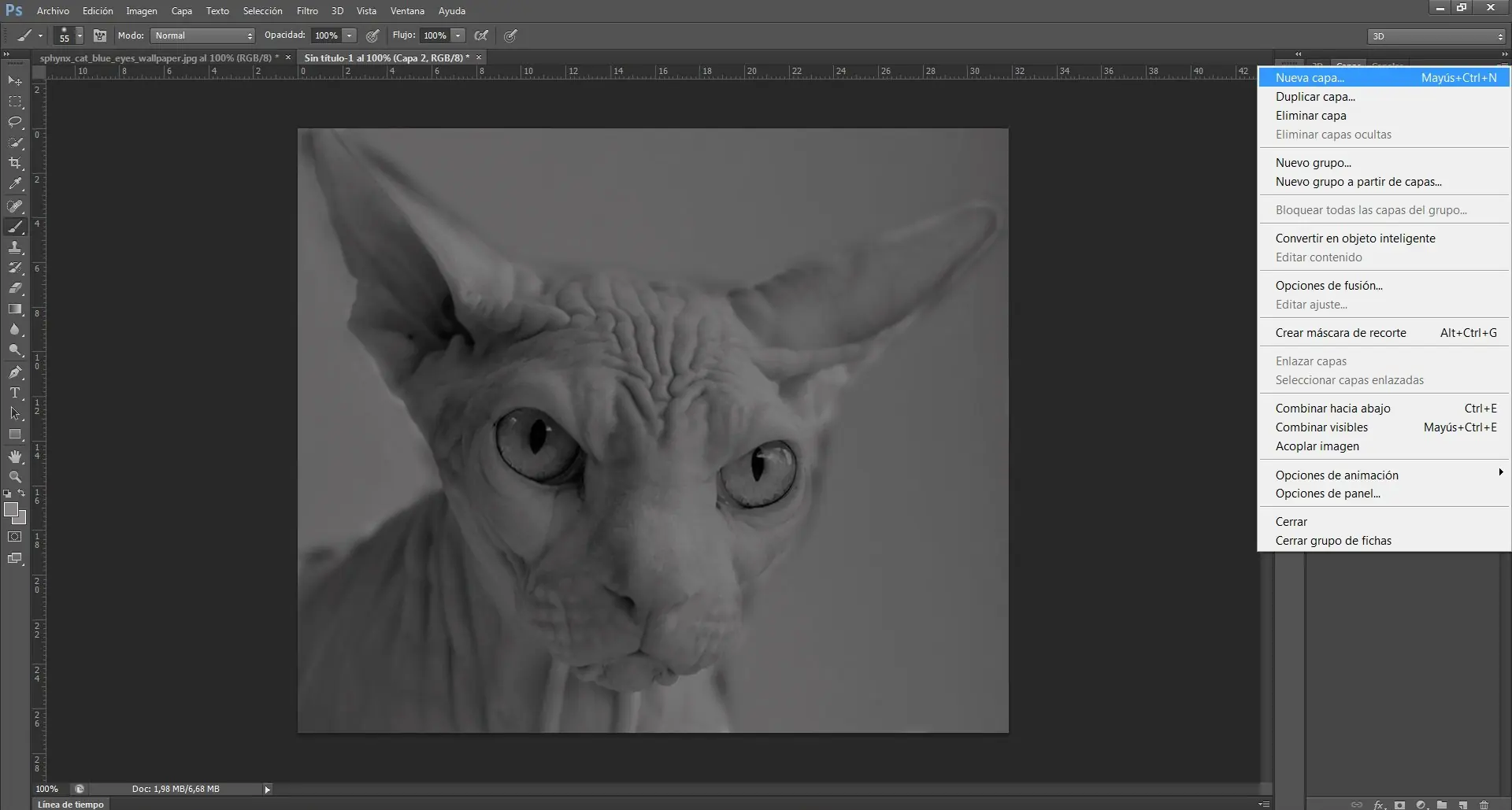 Tutorial Photoshop CS6: Efecto Pop Art de Andy Warhol