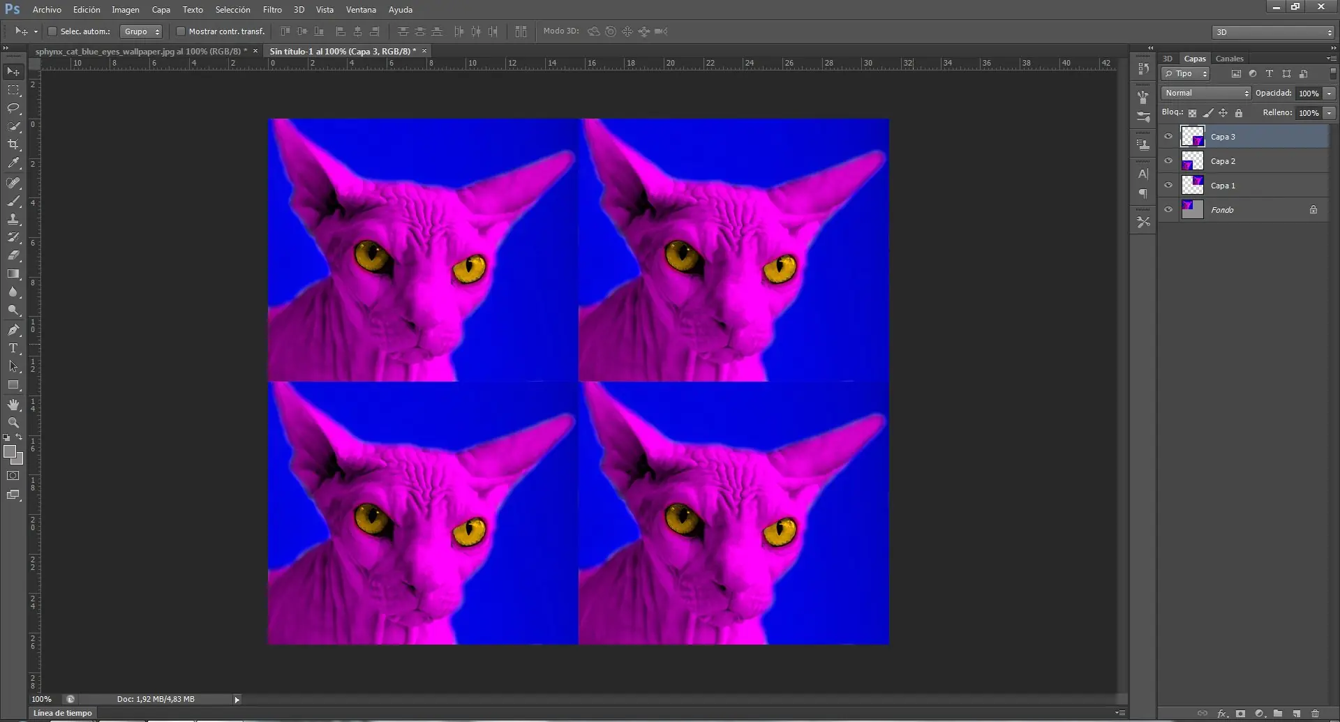 Tutorial Photoshop CS6: Efecto Pop Art de Andy Warhol