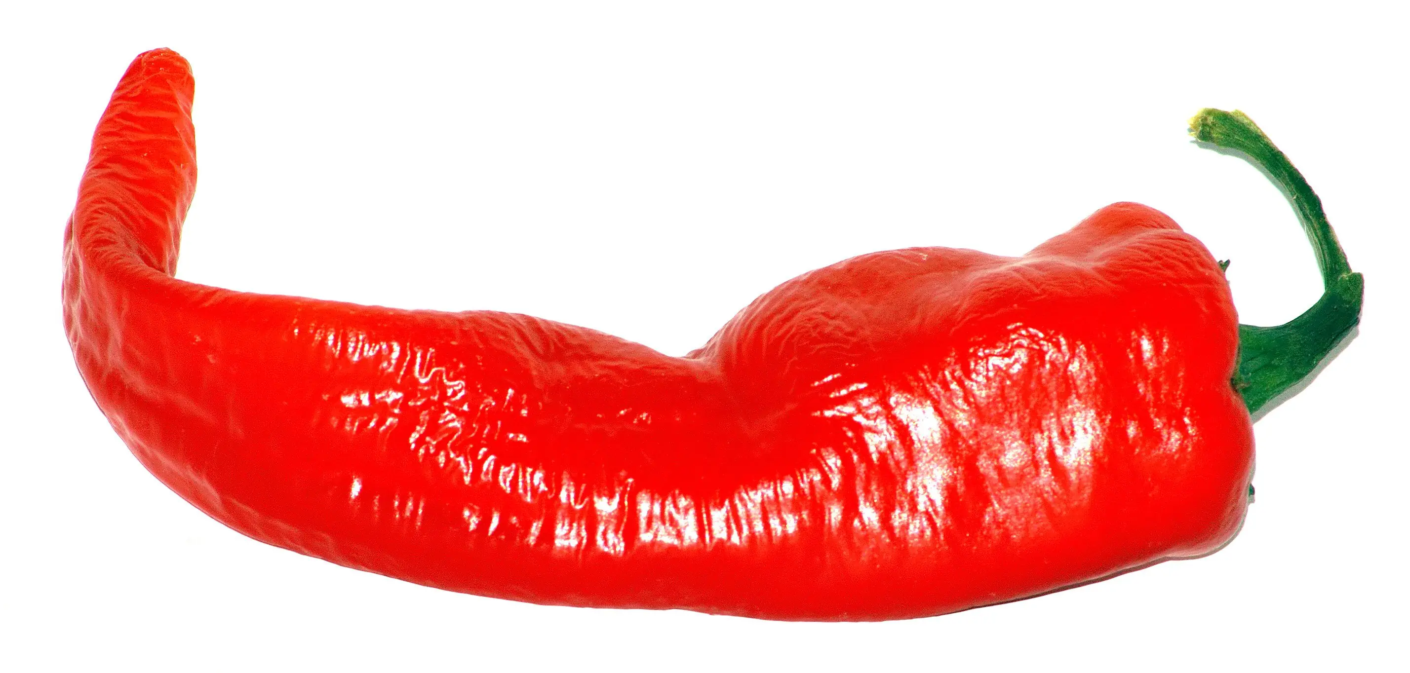 chiles