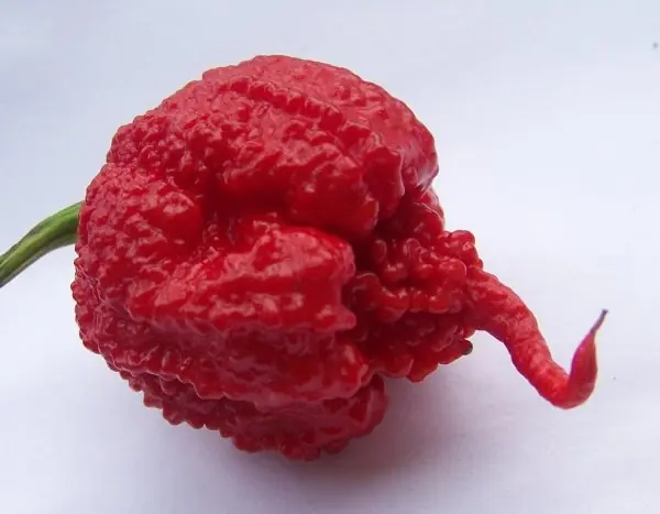 chiles