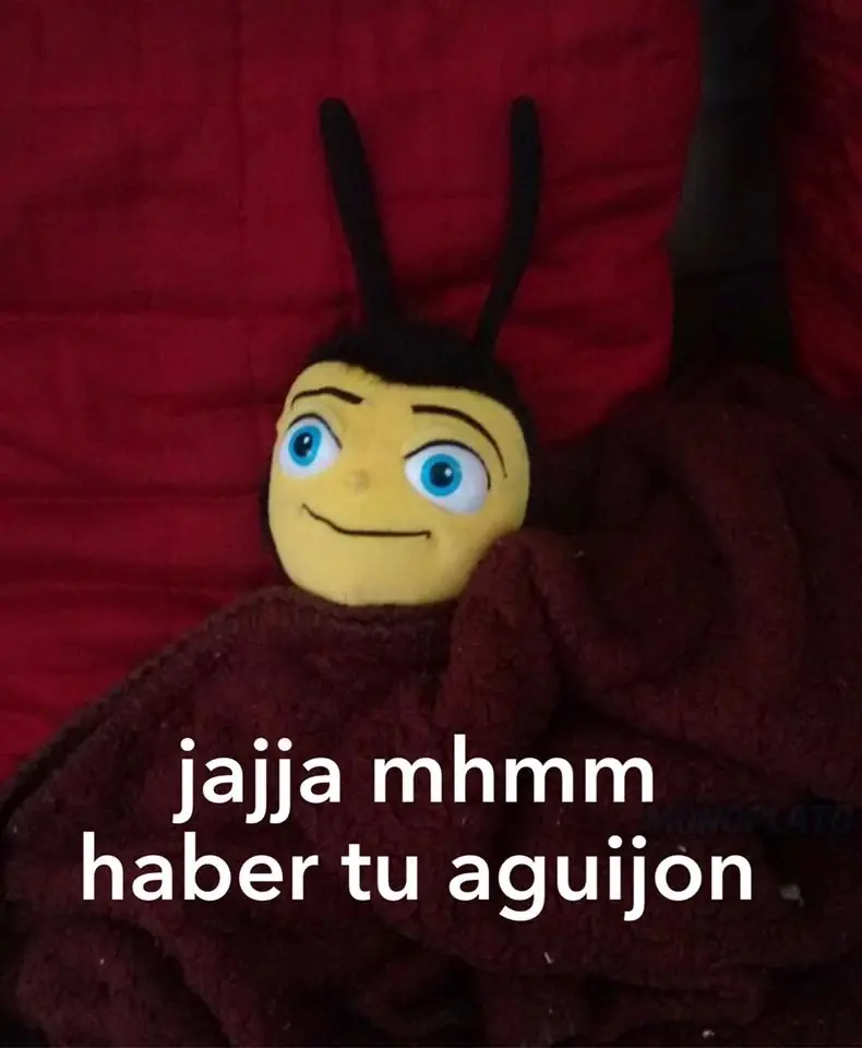 Humor