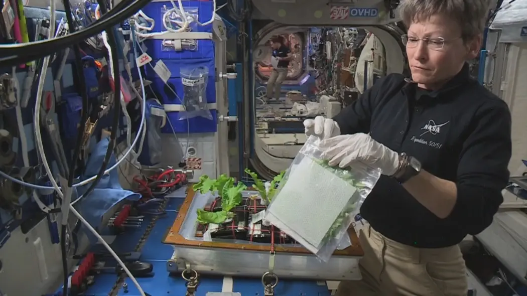 Cosechando en el Espacio