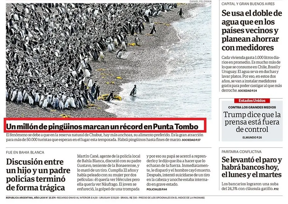 decreto