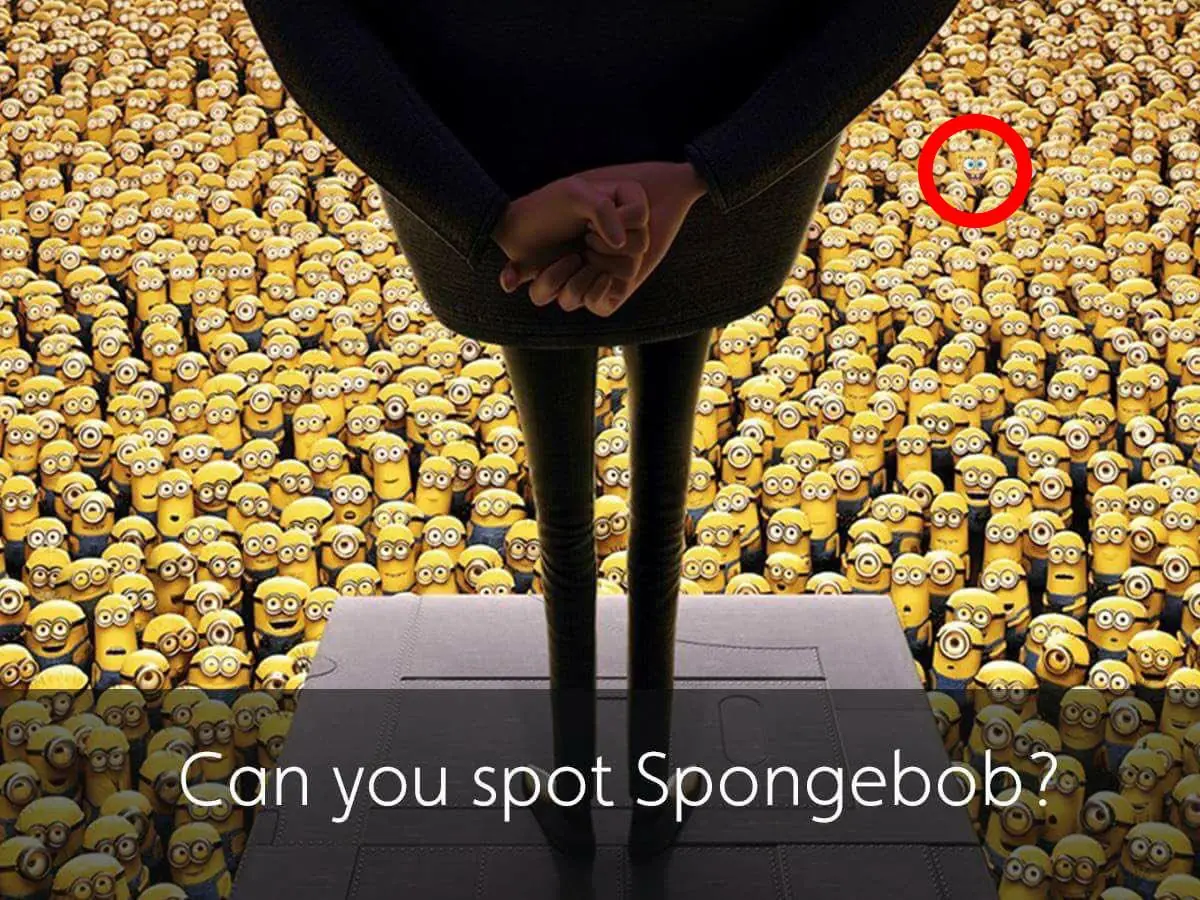 esponja