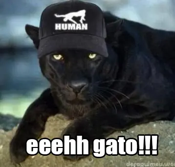 puma