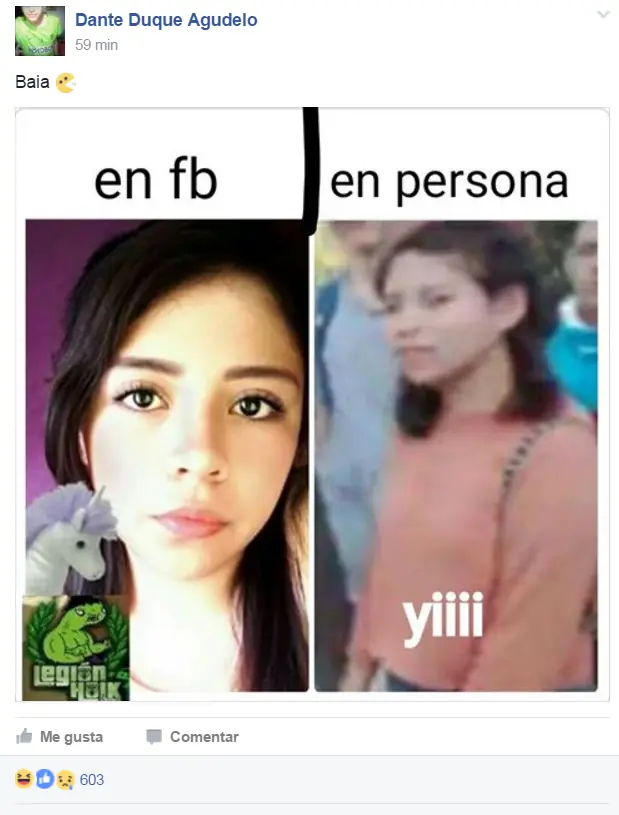 holk holk