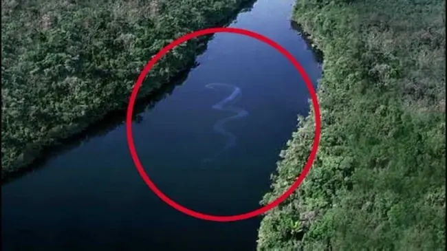 el agua