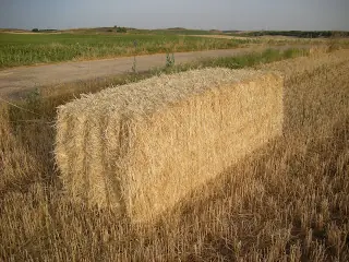 Etapas del porno, donde estas ubicado?