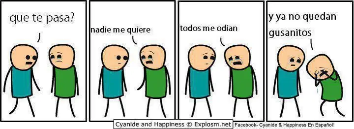 reite