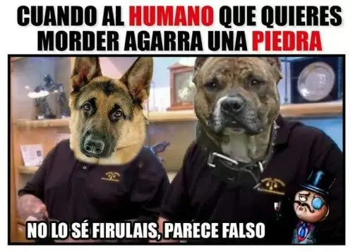 Humor Grafico