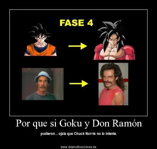 reite