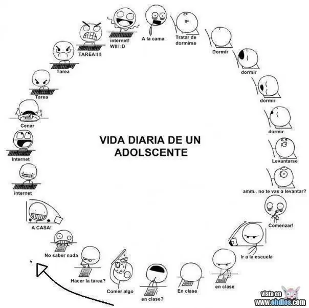 memes