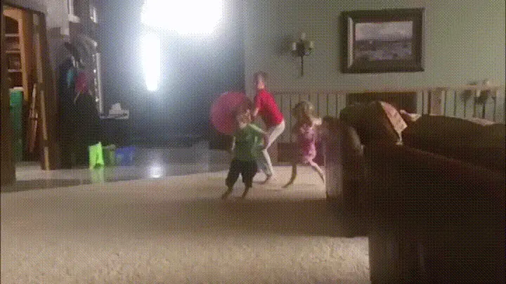 12 GIFs que la rompieron +10 si te da risa #15