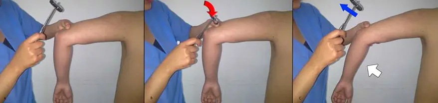 Aprende a bugear tu cuerpo con estos reflejos!