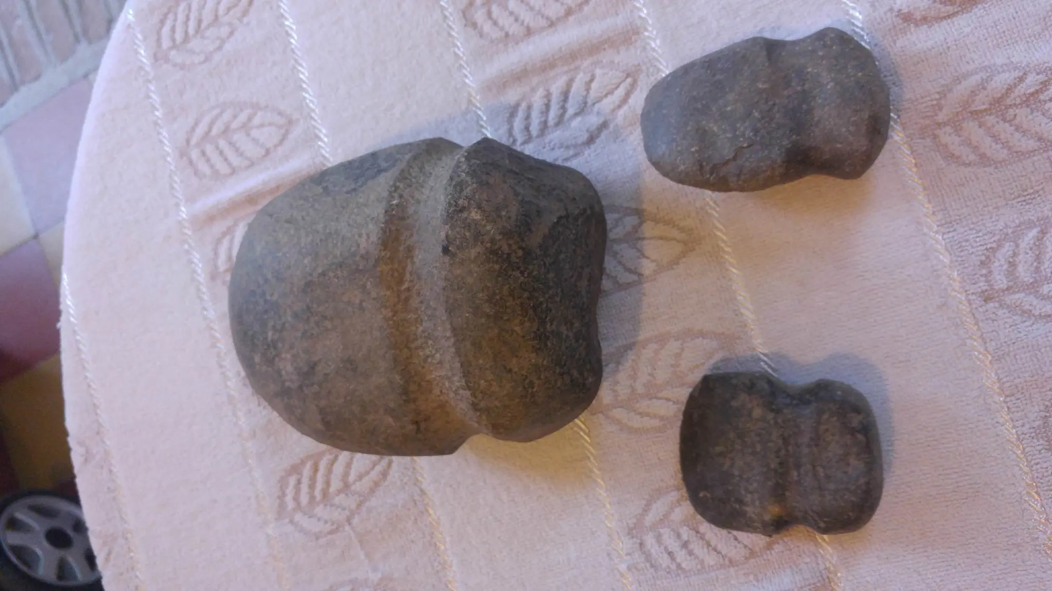 Hallazgos Arqueológicos Propios!