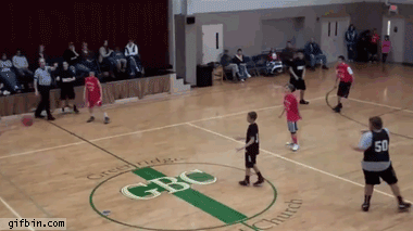 Gifs