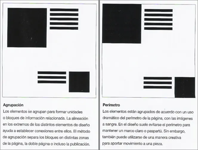 reticula reticula