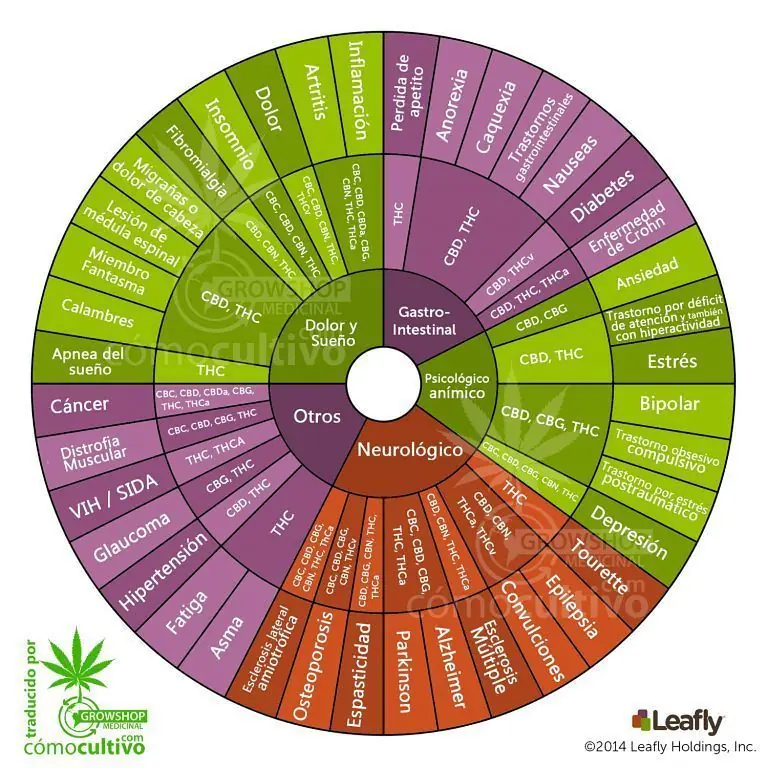 Cannabis Cannabis