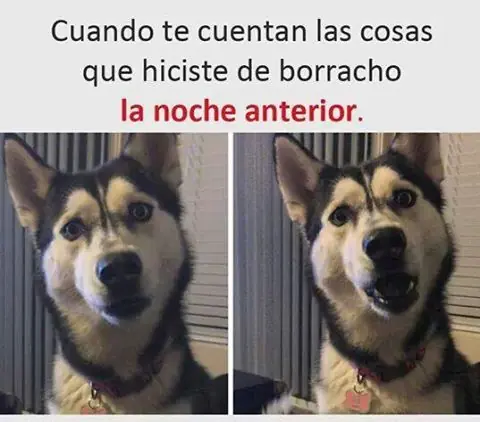 humor