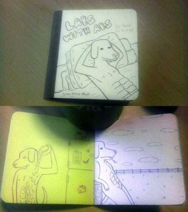 animales animales