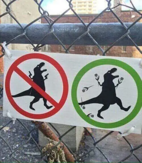 humor