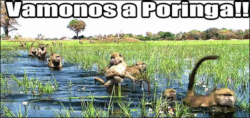 implanta