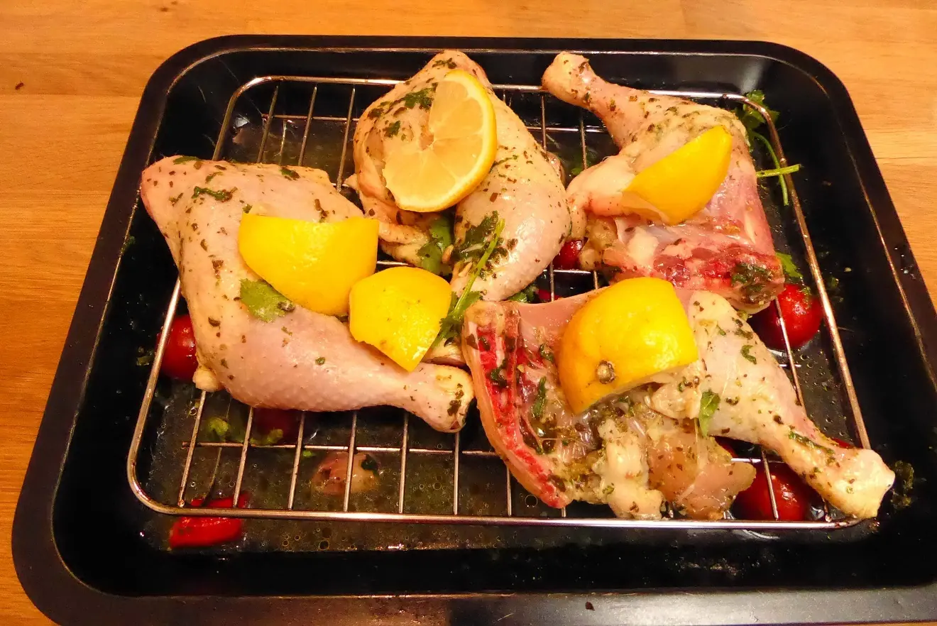 pollo
