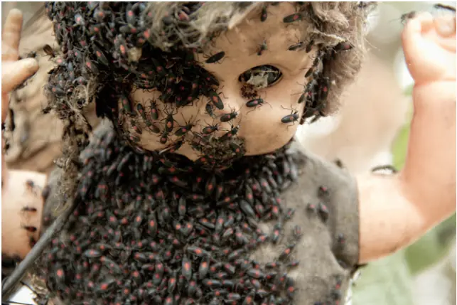 Los 15 lugares más terroríficos del planeta