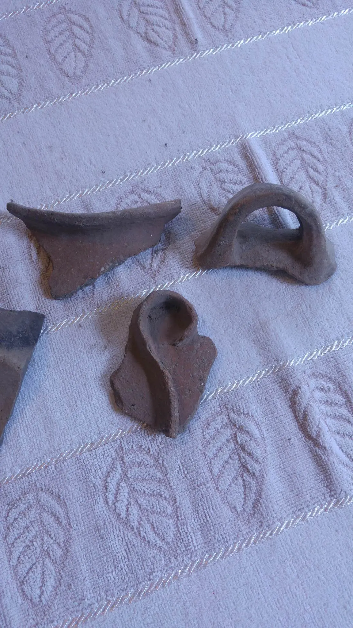 Hallazgos Arqueológicos Propios!