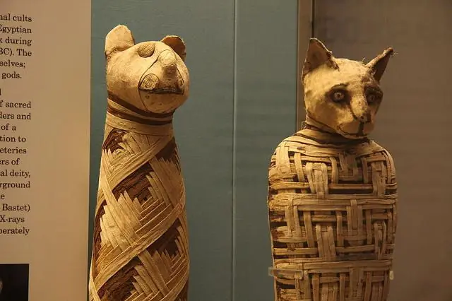 Impresionantes cosas sobre los animales en el Antiguo Egipto