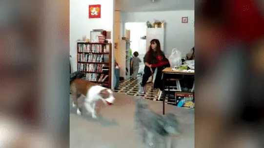 Funny