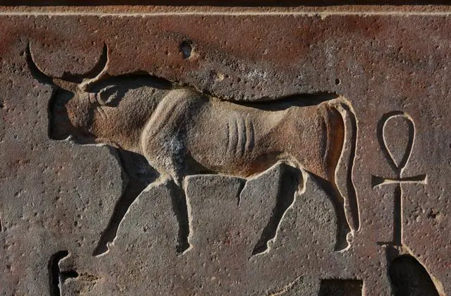 Curiosidades de la antigua egipto