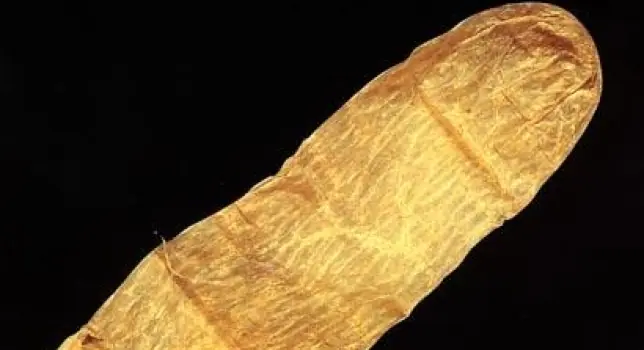 7 Cosas que no sabias del condon 7 Cosas que no sabias del condon