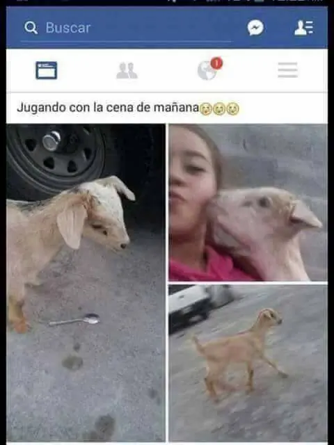 delas