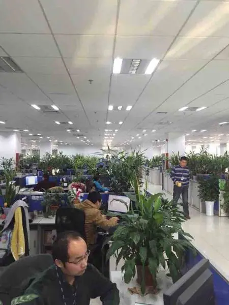 china imagenes graciosas