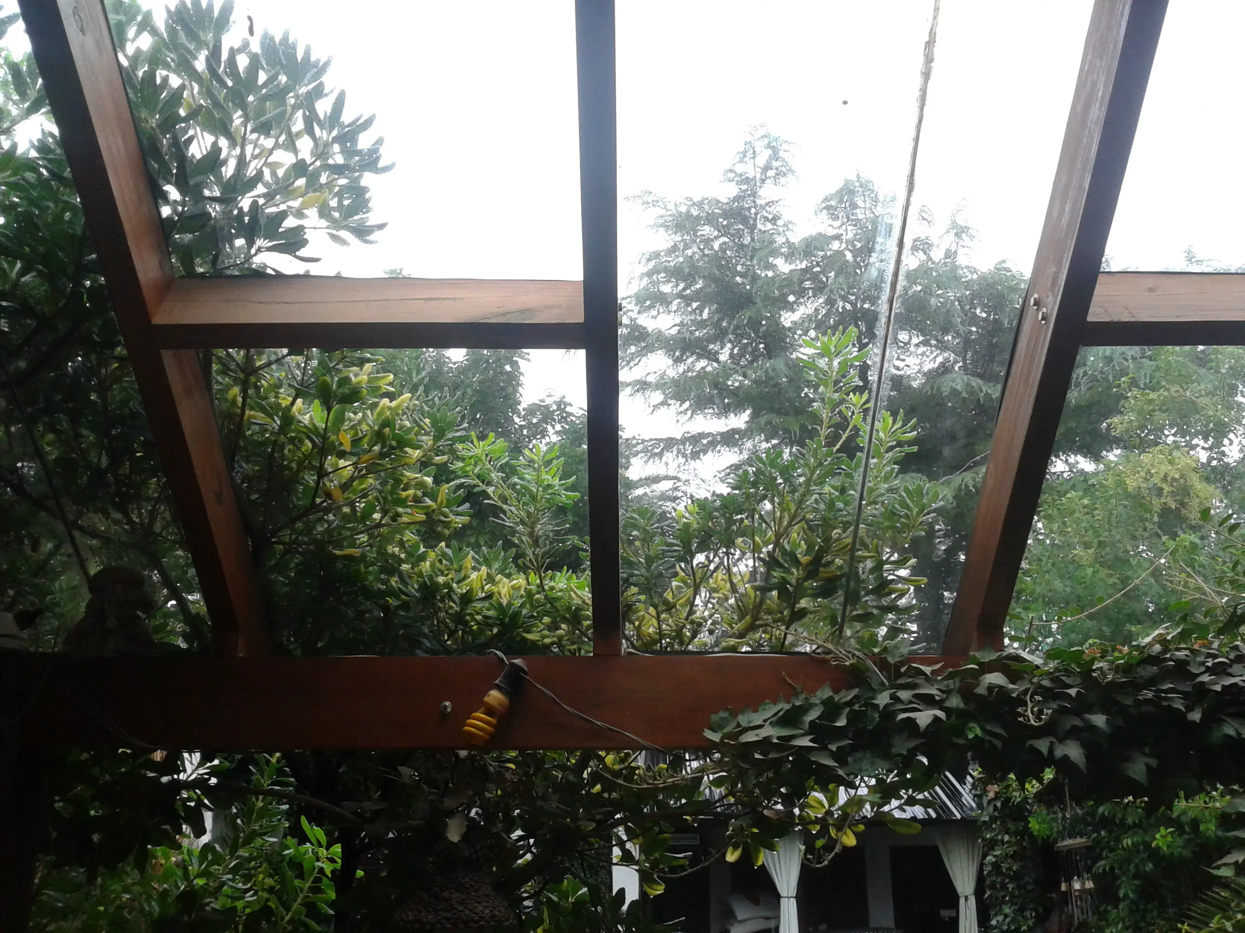 madera