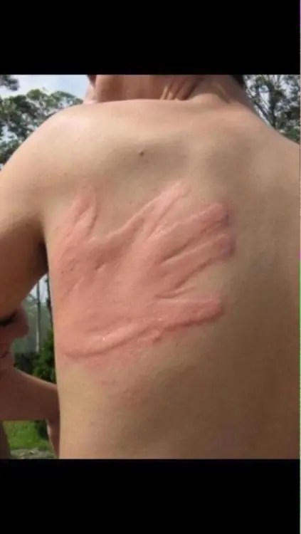 nunca