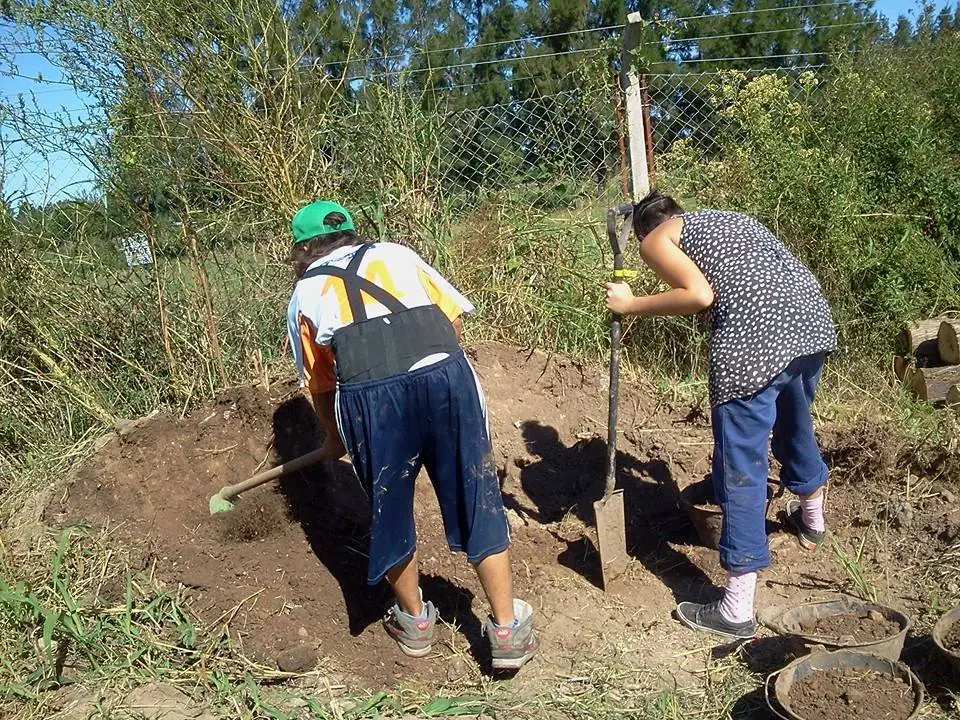 bioconstruccion