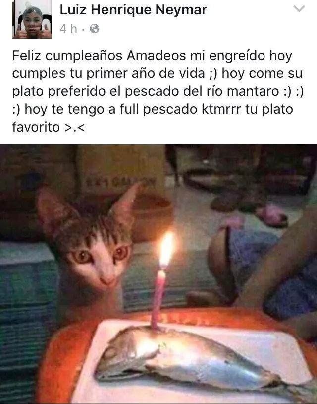 humor