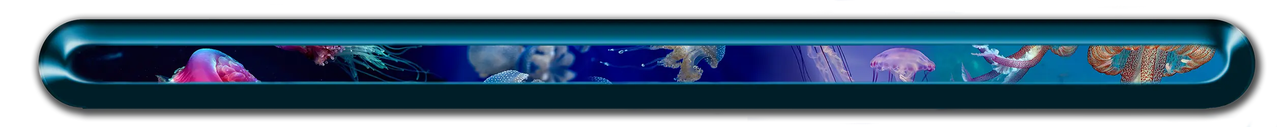 oceano oceano