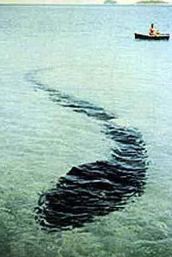 Fotos que ni los cientificos pudieron explicar