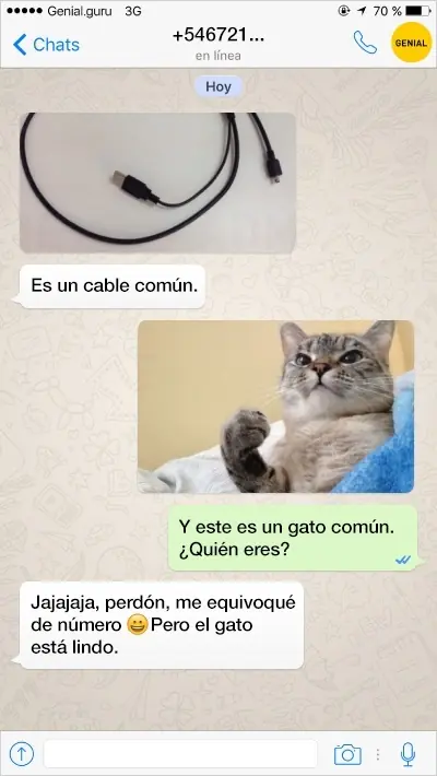curioso